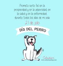 Como los perros mestizos, los perros de cruza de razas pertenecen a una raza no reconocida. Dia Mundial Del Perro Dog Diamundialdelperro Www Celestianshop Com I Love Dogs Dog Love Beauty Animals