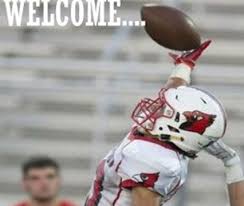 Next Level Training : TRAIN. HERE. NOW.