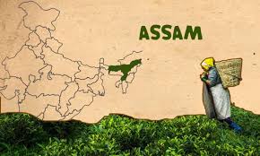 ˈɔxɔm (listen)) is a state in northeastern india, situated south of the eastern himalayas along the brahmaputra and barak river valleys. 17 Interesting Facts About Assam Ohfact