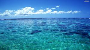 Check spelling or type a new query. Ocean Wallpapers Top Free Ocean Backgrounds Wallpaperaccess