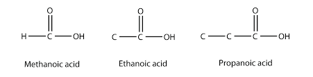 Chapter 13 Organic Chemistry Che 105 110 Introduction To Chemistry Textbook Libguides At Hostos Community College Library