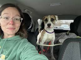 ANTLER'S DAY OUT! 🚙♥️🐾 “Meet Antler! We spent some time together today.  He's 1.5 years old and 40 pounds. He needs to be the only pet in the home  (no other dogs