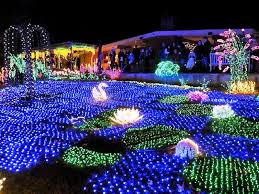 Www Christmas Com Outdoor Christmas Decorating Ideas Lights Christmas Christmas Decorations Clearance Solar Christmas Lights Outdoor Christmas Decorations