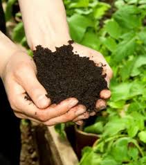 Jedoch gibt es keine fundierten, wissenschaftlichen ergebnisse darüber, wie wirksam koffeinfreier kaffeesatz gegen blattläuse und. Kaffeesatz Garten Haushalt Schonheitspflege 14 Tipps Fur Die Weiterverwendung