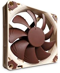 Noctua