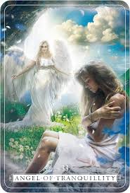 In order to get in contact with your there is some debate as to who is your guardian angel. Malone D Guardian Angel Reading Cards Amazon De Malone Debbie Chitulescu Amalia I Fremdsprachige Bucher