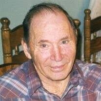 Ervin Bergman Obituary