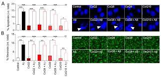 Antioxidants Free Full Text The Protective Effect Of Ubiquinone Against The Amyloid Peptide In Endothelial Cells Is Isoprenoid Chain Length Dependent Html