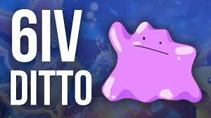 I have perfect iv'd ditto of every nature, and i was just wondering how exactly the destiny knot effects ivs, because of course if i breed with correct nature ditto, i want to have the everstone on ditto, can i stick the destiny knot on the other pokemon and still get a large portion of ditto's ivs or does ditto have to have the destiny knot to pass those down? How To Get A Perfect 6iv Ditto In Pokemon Oras And Xy Youtube