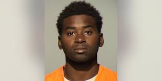 Guilty but not guilty due to mental disease: Man committed after attempted  abduction of 7-year-old girl