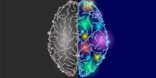 Otak, merupakan pusat memory, kognitif, emosi, dan semua jenis perasaan dan kognisi. Beda Otak Kiri Dan Kanan Dari Fungsi Hingga Cara Mengasahnya
