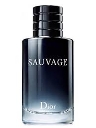 Sauvage Christian Dior For Men