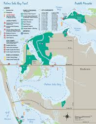 Paddle Manatee Manatee County