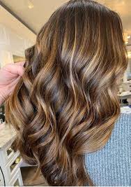 Pretty Brunette Hair Colors With Bronze Shades In 2020 Stylesmod Bronze Brunette Colors Hair Pretty In 2020 Brunette Hair Color Loreal Hair Dye Silver Hair Color