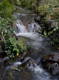 Surprise Bonanza Since Napa Quake Dry Creeks Now Flowing Dry Creek Napa Creek