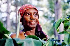 71st Annual Florida Folk Festival Program by Florida Folk Festival