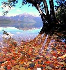 It is also the longest, at over 15 km, as well as the deepest lake at 141 meters. The Colorful Pebbles Of Lake Mcdonald In Glacier National Park Kickass Trips