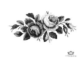 Antique Botanical Prints Black And White This Item Is Unavailable Rose Illustration Antique Images Vintage Images