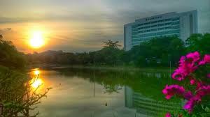 Surat penutup pengurus sosial media | senarai keterampilan media sosial. Universiti Malaya Um Introduction