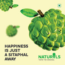 Time To Have The Original Sitaphal Natural Ice Cream Facebook Mango ice cream by chef sanjeev kapoor. natural ice cream