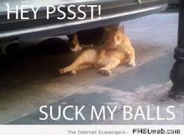 Pin On Funny