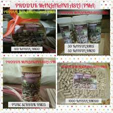 Air buah manjakani ini baik untuk kesihatan dan tanpa menga. Facebook