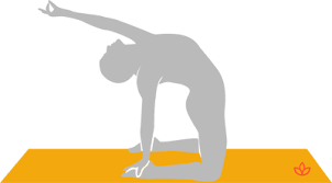 Some yoga practitioners said that ustrasana or camel pose and all related back bends are one of the destroyer of disease. What Is Half Camel Pose Definition From Yogapedia