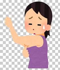 We did not find results for: Fat Body Png Images Fat Body Clipart Free Download