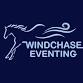 Windchase Jumping Clinic with Phyllis Dawson event image