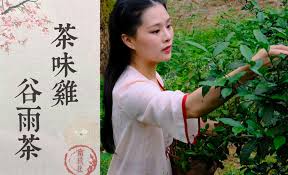 The site owner hides the web page description. ç§¦çŽ–å„¿