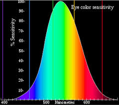 See reds, greens, grey (very rare: Color Vision Wikipedia