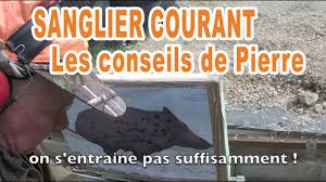 De nombreux animaux se font lever, sautent les. Sanglier Courant Conseils De Pierre Plus De Conseils Abonnez Vous Youtube