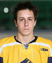 Hockey All-Stars 2015: First team honorees, Coach of the Year, honorable  mentions (poll)