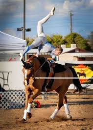 Equestrianvaulting Mary M Horse Vaulting Trick Riding Vaulting Equestrian