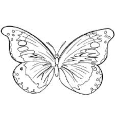 Download this adorable dog printable to delight your child. Top 50 Free Printable Butterfly Coloring Pages Online