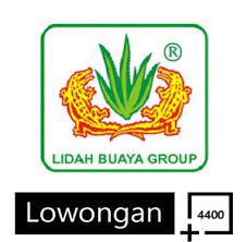 Banyak lidah buaya tumbuh dengan baik di taman berbatu atau lahan kering di suhu yang beriklim hangat dan sebagian diantaranya bahkan berbunga setidaknya satu kali dalam setahun. Lowongan Kerja Lidah Buaya Group Jakarta