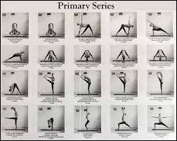 Image result for Primary Series