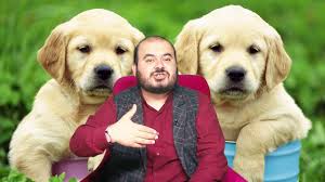 ruyada kopek yavrusu gormek nedir ruya tabirleri ruyada kopek gormek ne anlama gelir huseyin duru youtube