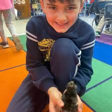 Hauppauge School District (@hauppaugeschools) · Instagram 照片和视频