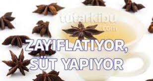 Zayiflatan Yildiz Anason Cayi Diyet Saglikli Diyet Tarifler Kilo