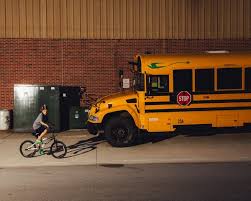 Image result for Natural Yellow 1999 Fleet