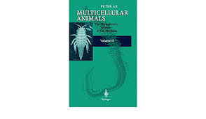 We did not find results for: Multicellular Animals Volume Ii The Phylogenetic System Of The Metazoa Ax Peter Kinsey S Amazon De Bucher