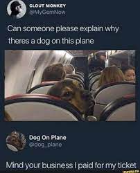 Can Someone Please Explain Why Theres A Dog On This Plane Mind Your Business I Paid For My Ticket Funny Relatable Memes Stupid Funny Memes Funny Memes