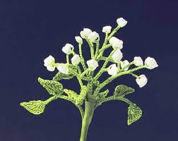 Baby S Breath Flower Crochet Pattern Crochet Flower Patterns Crochet Flowers Irish Crochet Flowers