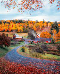 1 956 Likes 50 Comments Alvin Li Aalvinli On Instagram First Time Enjoying The Beautiful Autumn In The Northe Autumn Scenery Autumn Photography Scenery