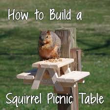 I'd love to hear about your plans in the comments below! 25 Diy Squirrel Feeder Plans Do It Yourself Easily