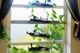 Give us one that we can do in less than an hour—like this quick project—and you've hit the diy jackpot. How To Build A Hanging Bottle Garden For Free Youtube