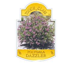 Image result for Polygala products