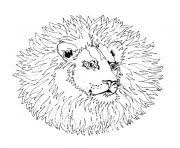 20 056 vues 551 impressions. Coloriage Mandala Tete Loup Canis Lupus Dessin Mandala Animaux A Imprimer