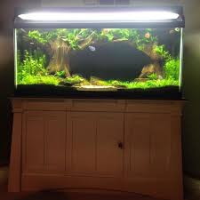 Make A Better Than New Aquarium Stand Fish Tank Stand Aquarium Setup Aquarium